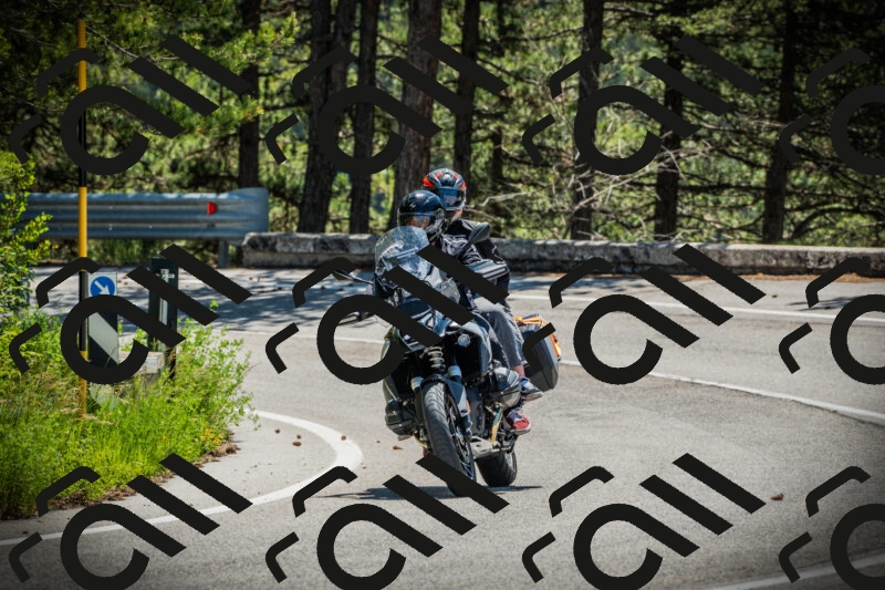 202506021152-DSC04071_c1_