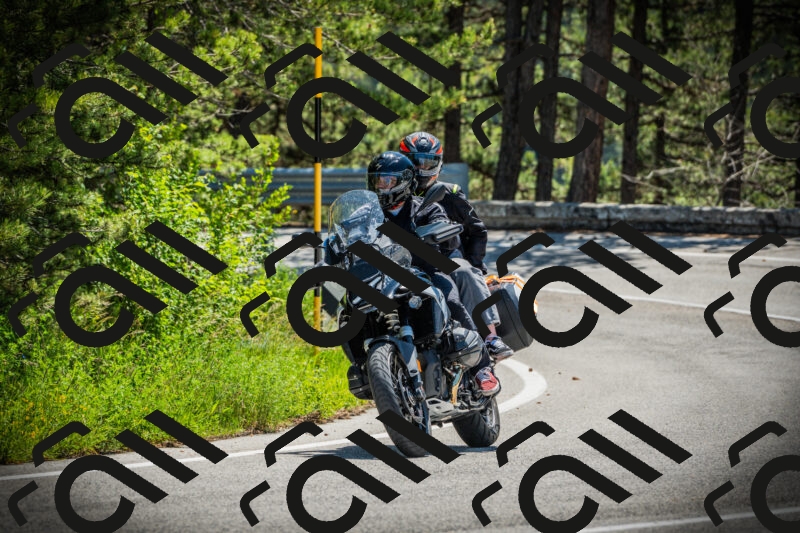 202506021152-DSC04072_c1_