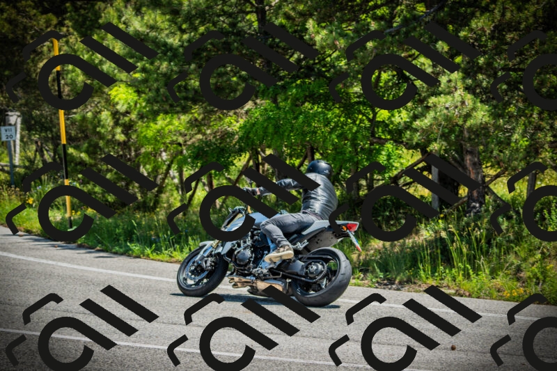 202506021152-DSC04078_c1_