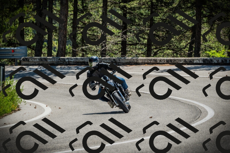 202506021152-DSC04079_c1_