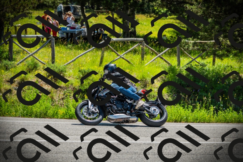 202506021152-DSC04081_c1_