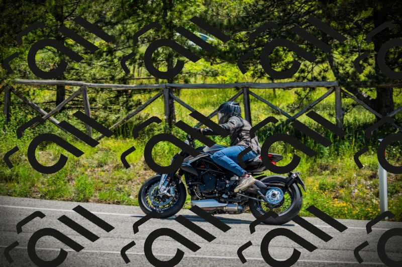 202506021152-DSC04082_c1_