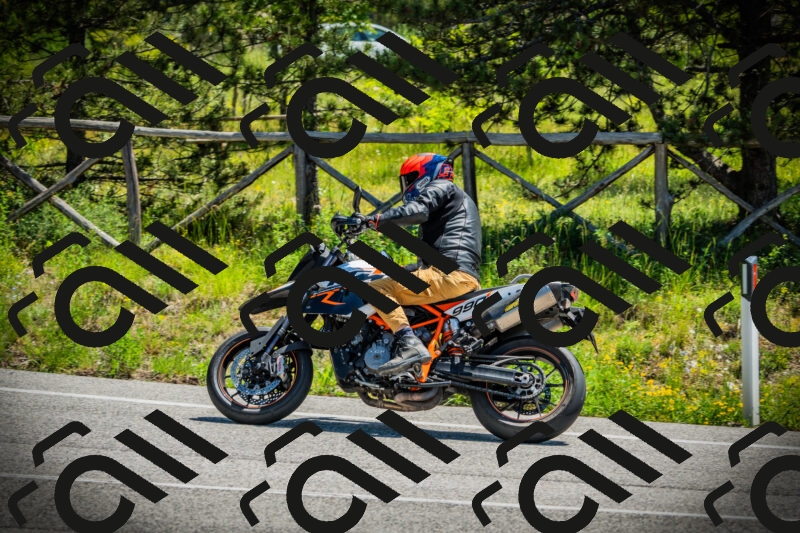 202506021153-DSC04089_c1_