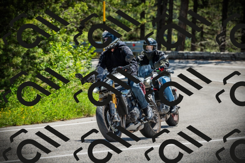 202506021153-DSC04095_c1_