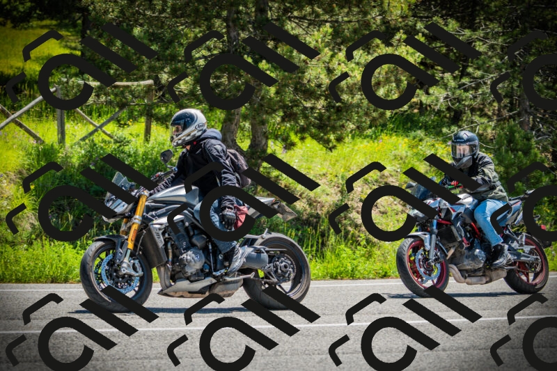 202506021153-DSC04096_c1_