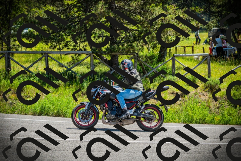 202506021153-DSC04097_c1_