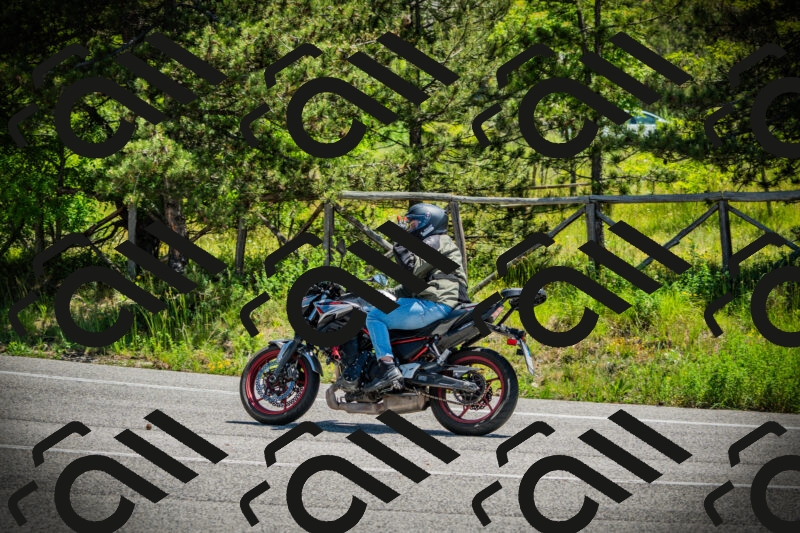 202506021153-DSC04098_c1_