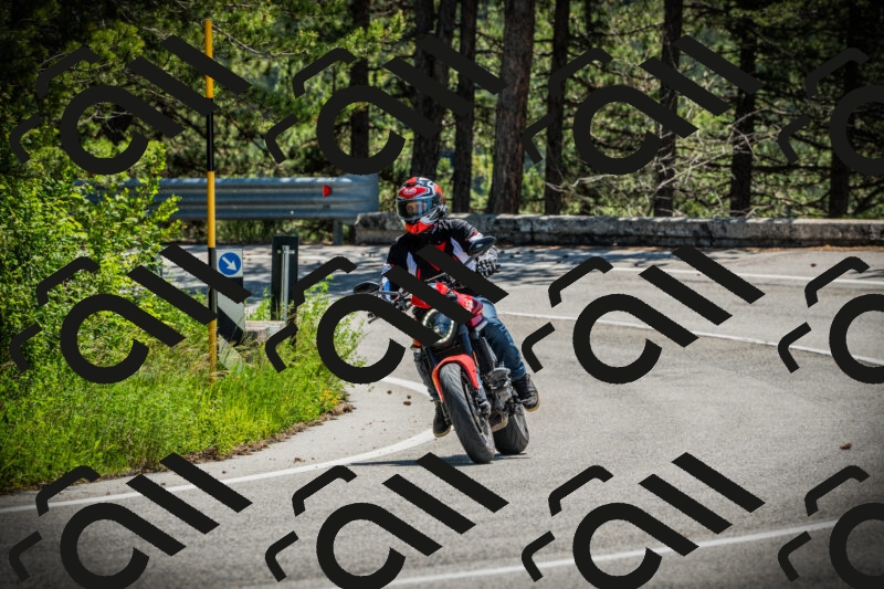 202506021154-DSC04100_c1_