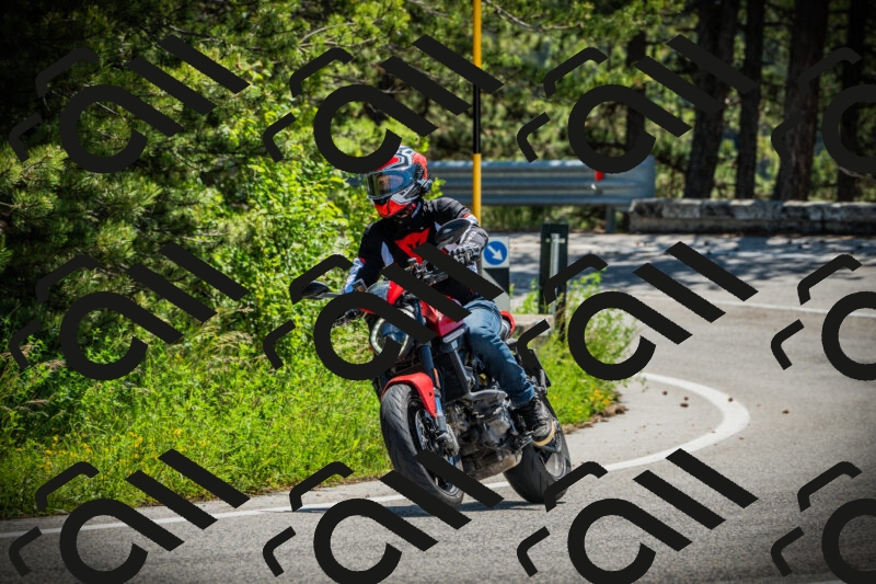 202506021154-DSC04101_c1_