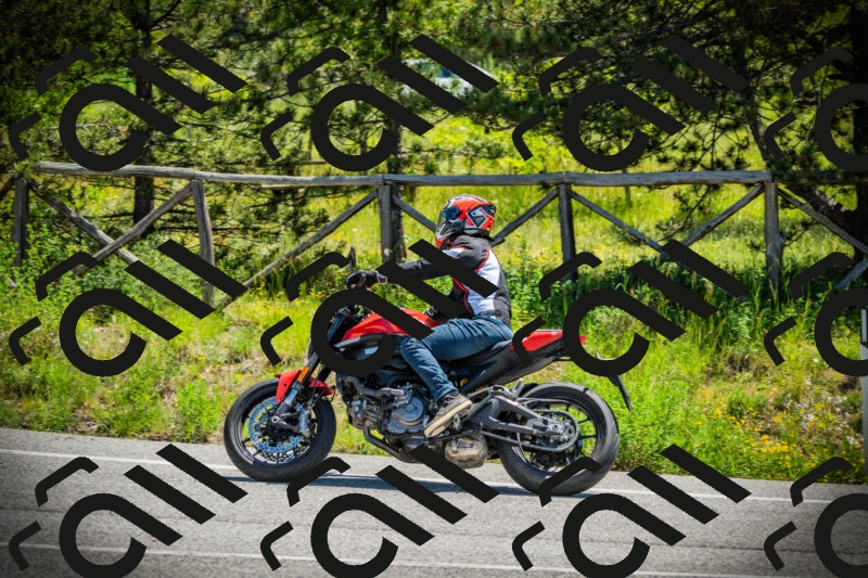 202506021154-DSC04103_c1_