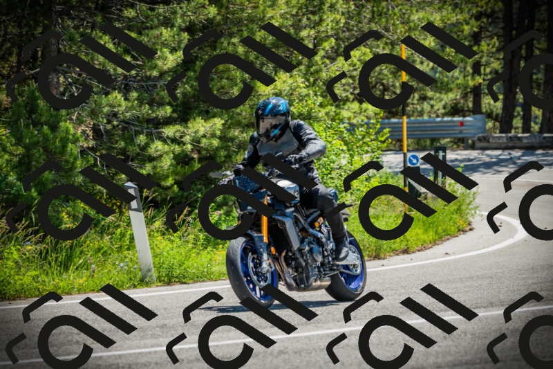 202506021156-DSC04105_c1_