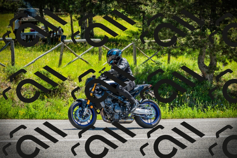 202506021156-DSC04106_c1_