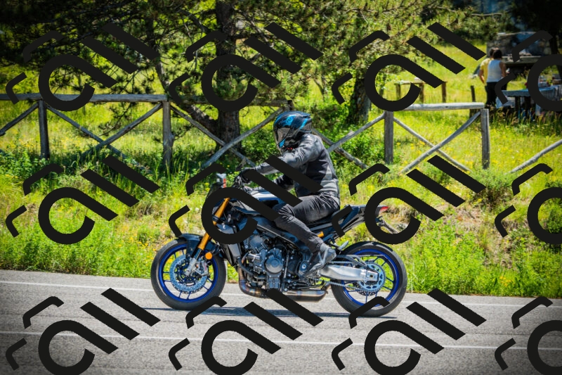 202506021156-DSC04107_c1_