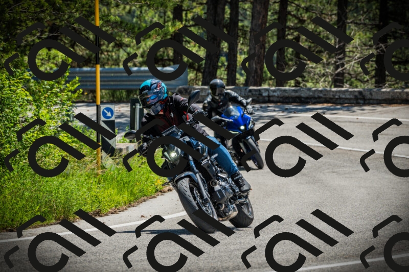 202506021157-DSC04121_c1_