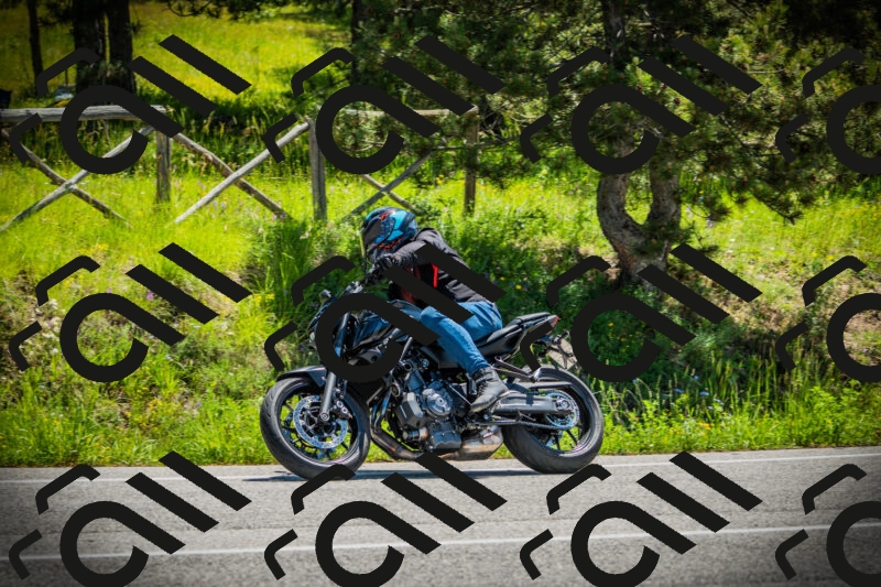 202506021157-DSC04122_c1_