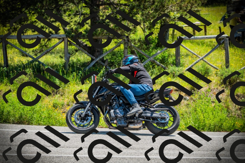 202506021157-DSC04123_c1_