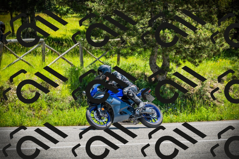 202506021157-DSC04124_c1_