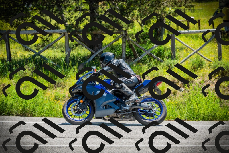 202506021157-DSC04125_c1_