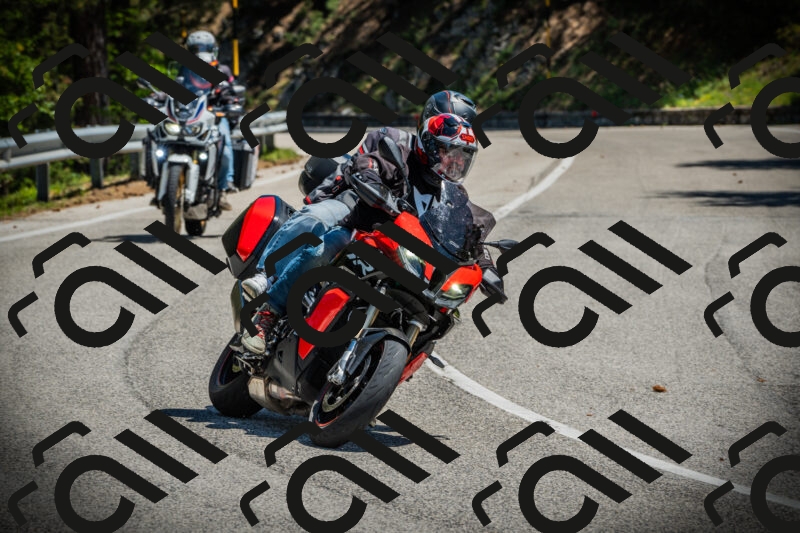 202506021157-DSC04128_c1_