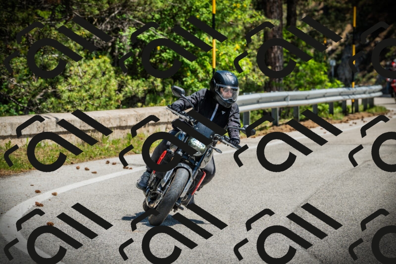 202506021158-DSC04135_c1_