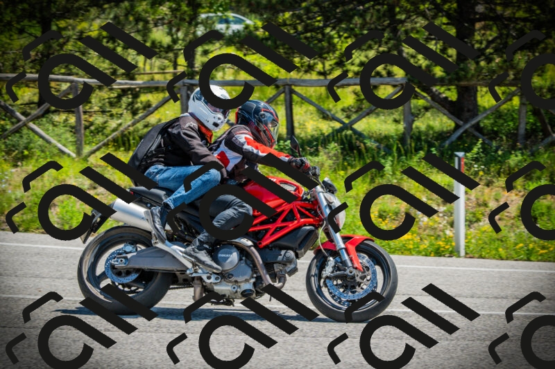 202506021158-DSC04141_c1_