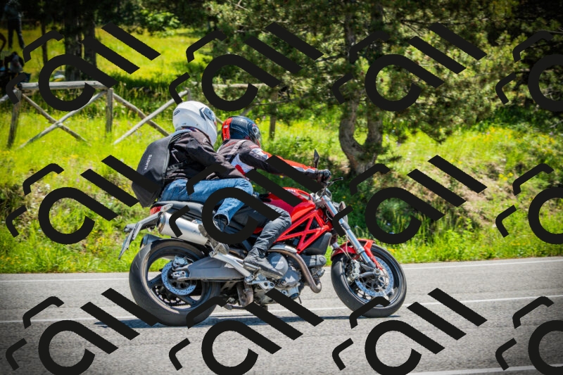 202506021158-DSC04142_c1_