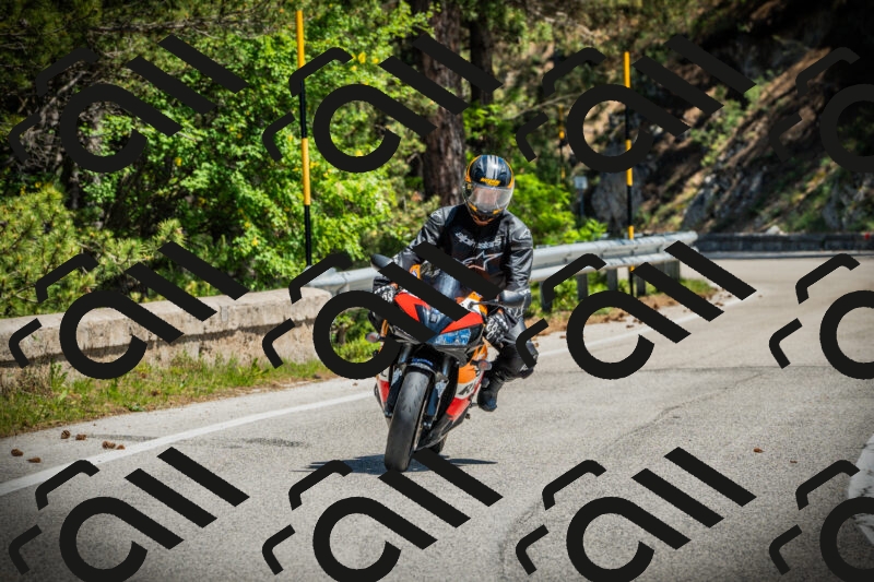 202506021159-DSC04160_c1_