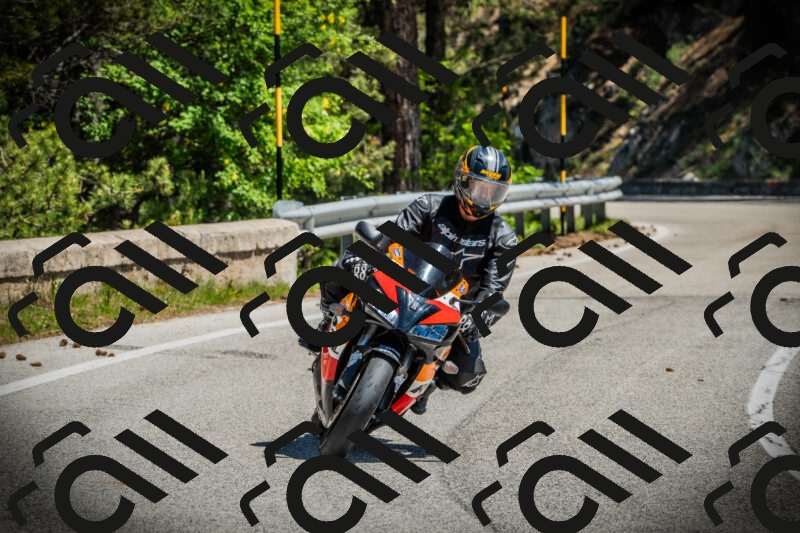 202506021159-DSC04161_c1_