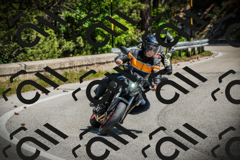 202506021159-DSC04167_c1_