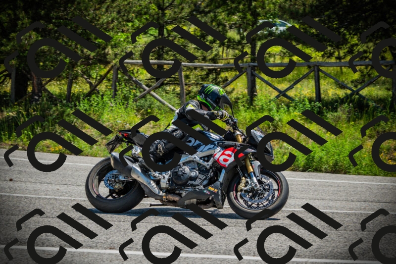 202506021159-DSC04169_c1_