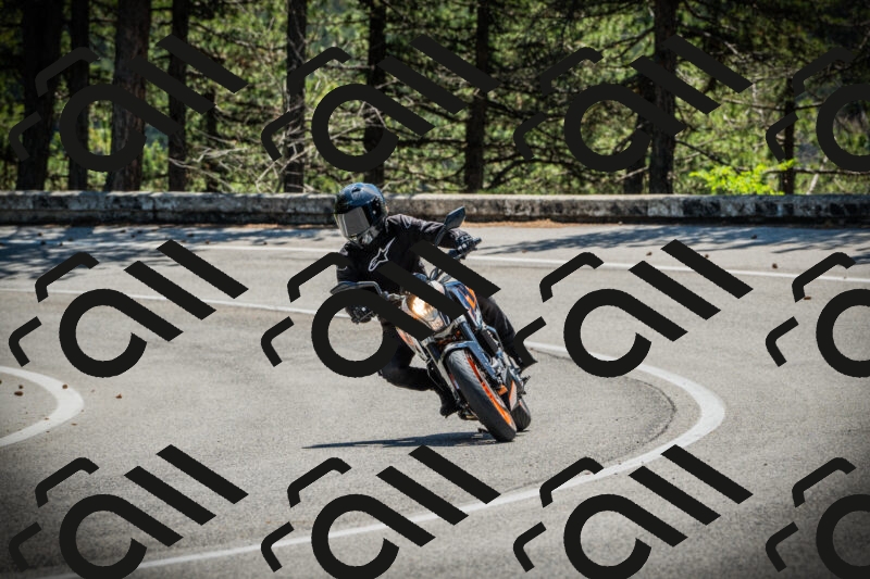 202506021200-DSC04172_c1_