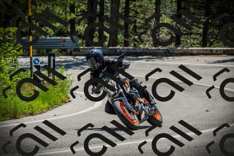 202506021200-DSC04173_c1_