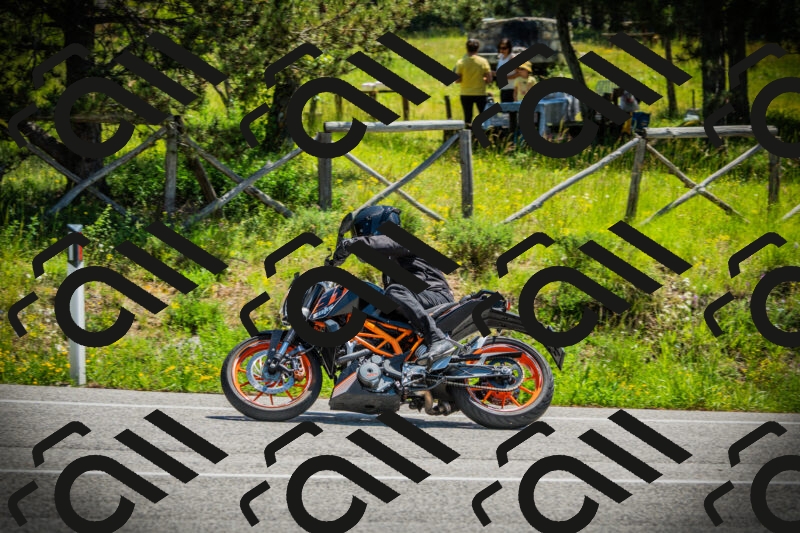 202506021200-DSC04174_c1_