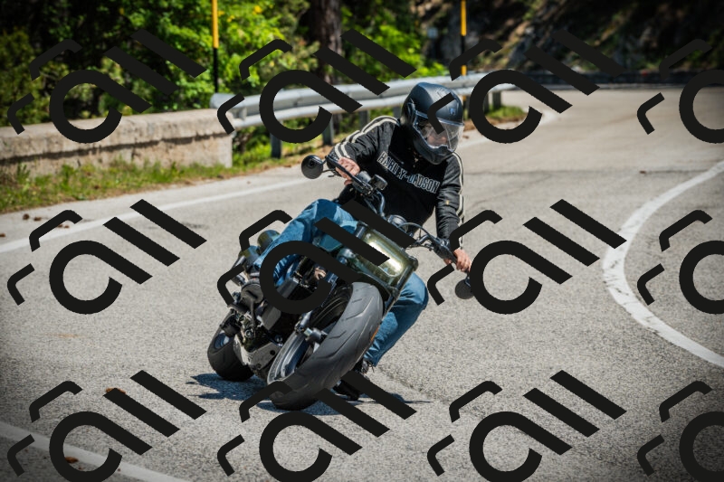 202506021200-DSC04178_c1_