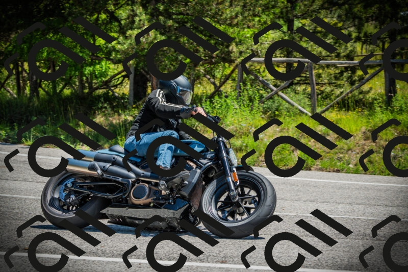 202506021200-DSC04179_c1_