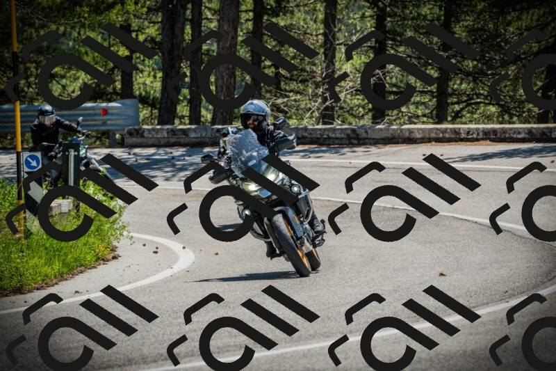 202506021200-DSC04182_c1_