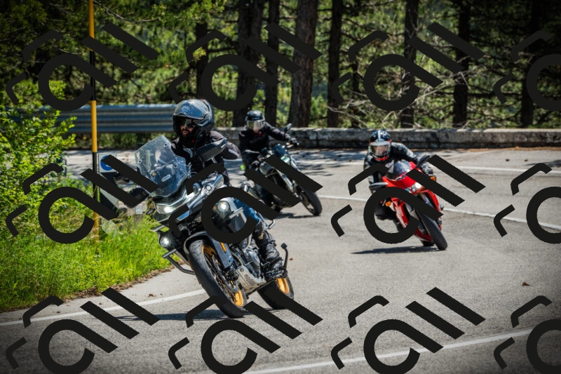 202506021200-DSC04183_c1_