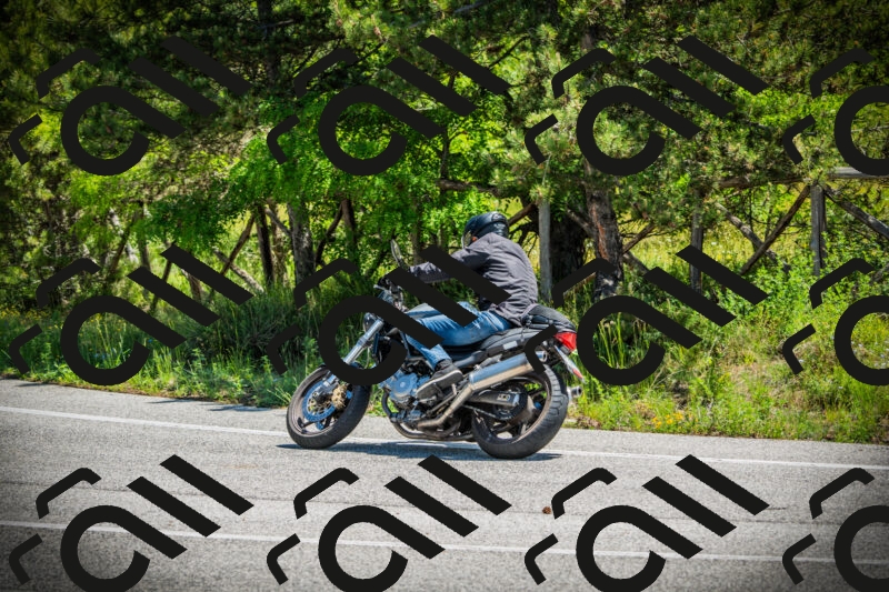 202506021200-DSC04189_c1_