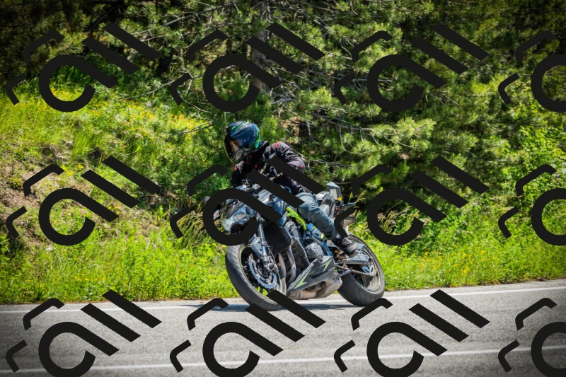 202506021200-DSC04190_c1_