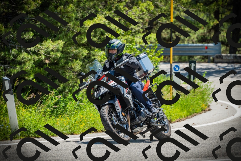 202506021201-DSC04195_c1_