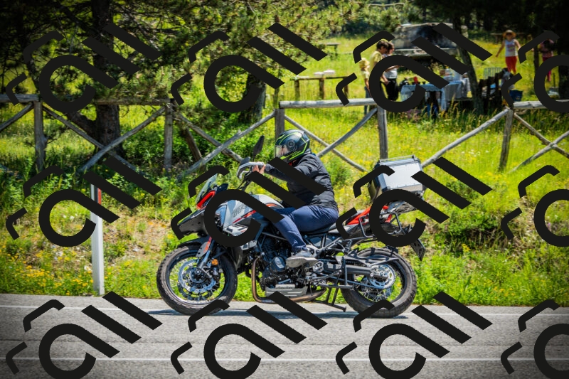 202506021201-DSC04196_c1_