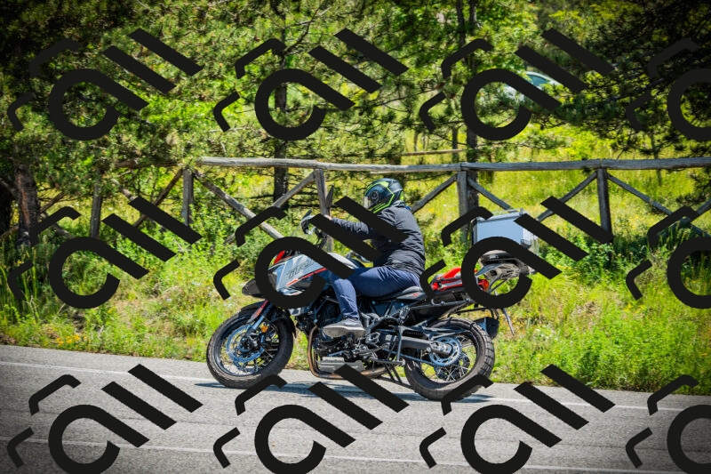 202506021201-DSC04197_c1_