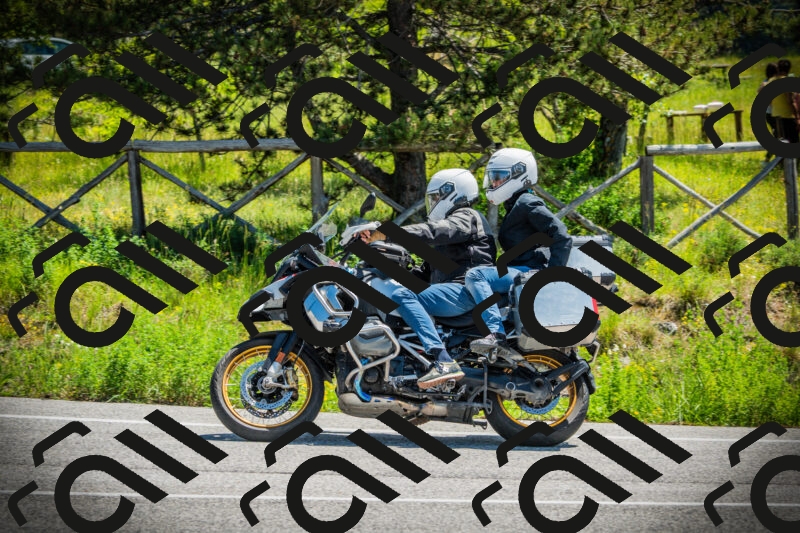 202506021201-DSC04201_c1_