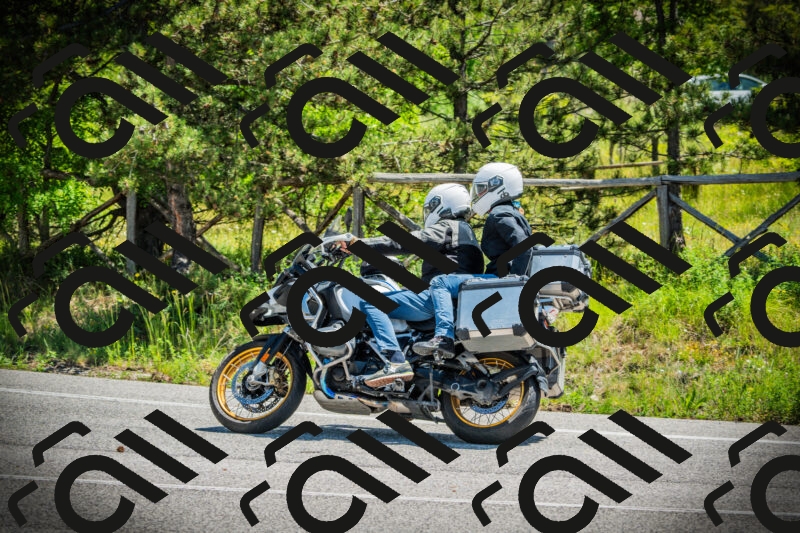 202506021201-DSC04202_c1_