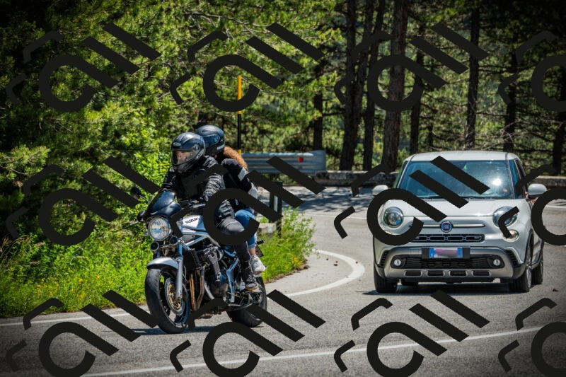 202506021201-DSC04203_c1_