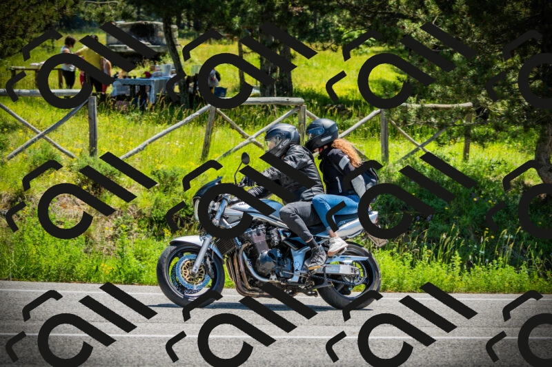 202506021201-DSC04204_c1_