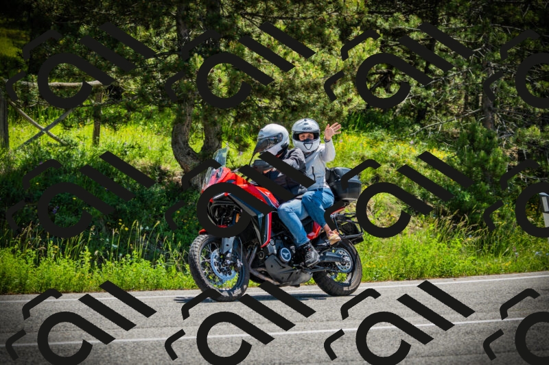 202506021201-DSC04206_c1_