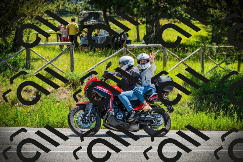 202506021201-DSC04207_c1_