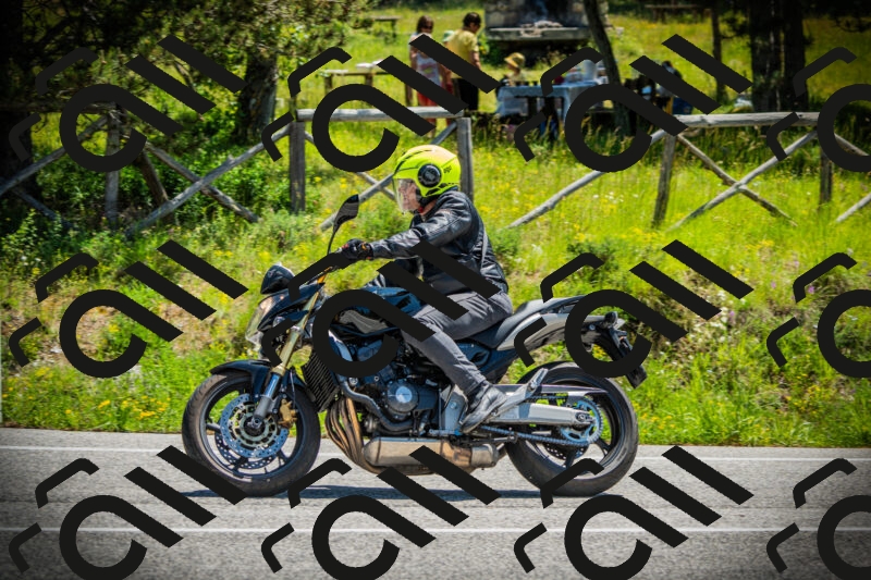 202506021201-DSC04208_c1_