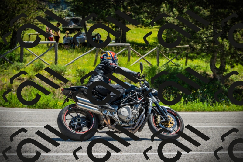 202506021201-DSC04210_c1_